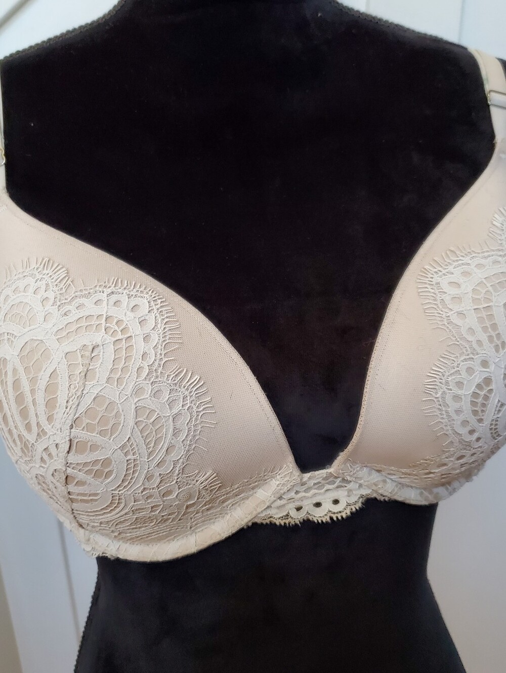 Victoria's Secret Dream Angel Lace Push Up Bra